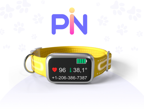 PIN